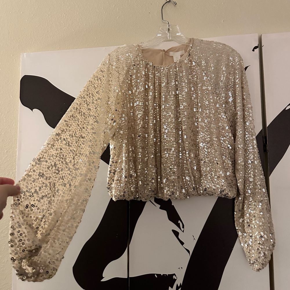 H&M sequin blouse